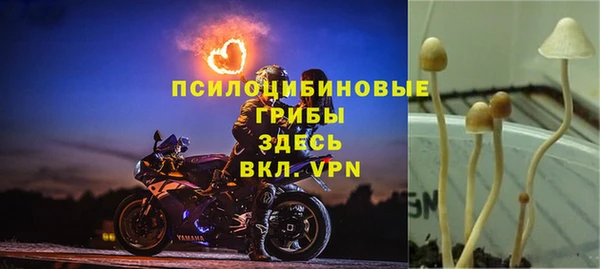 ECSTASY Няндома