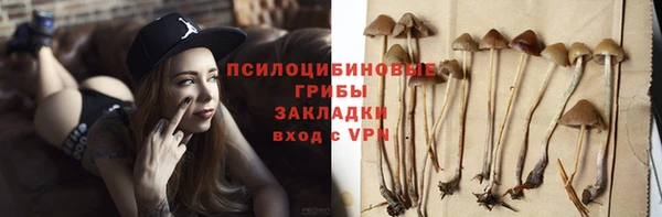 кокс Алагир