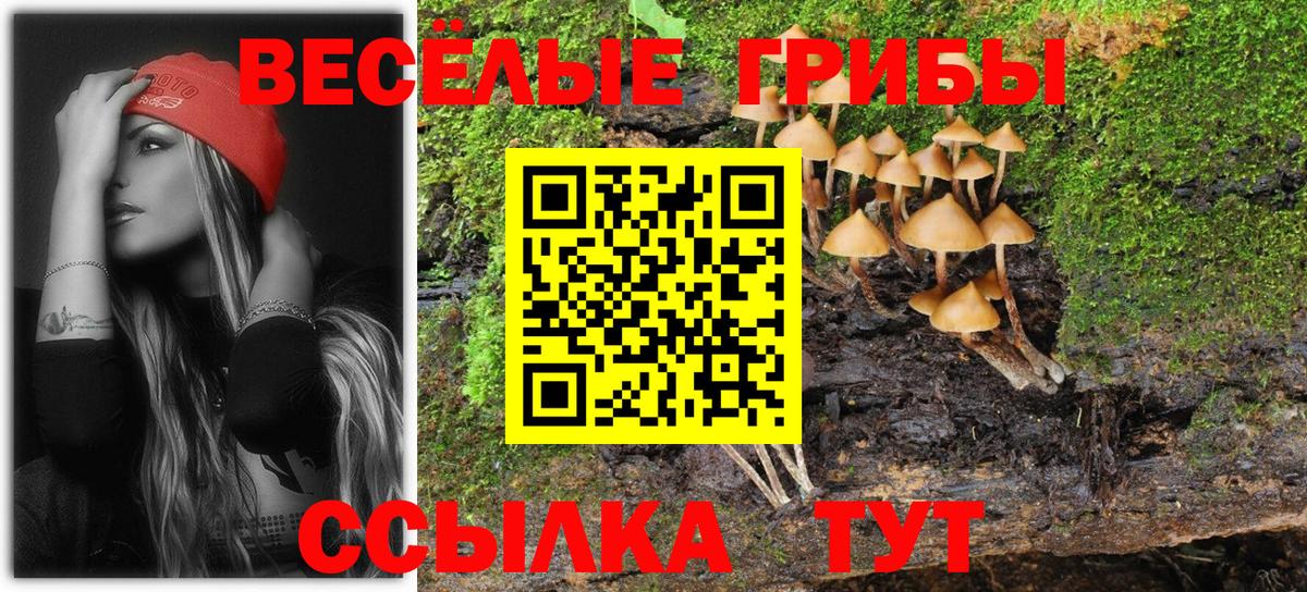 Салават  Псилоцибиновые грибы Cubensis  Вход с VPN 